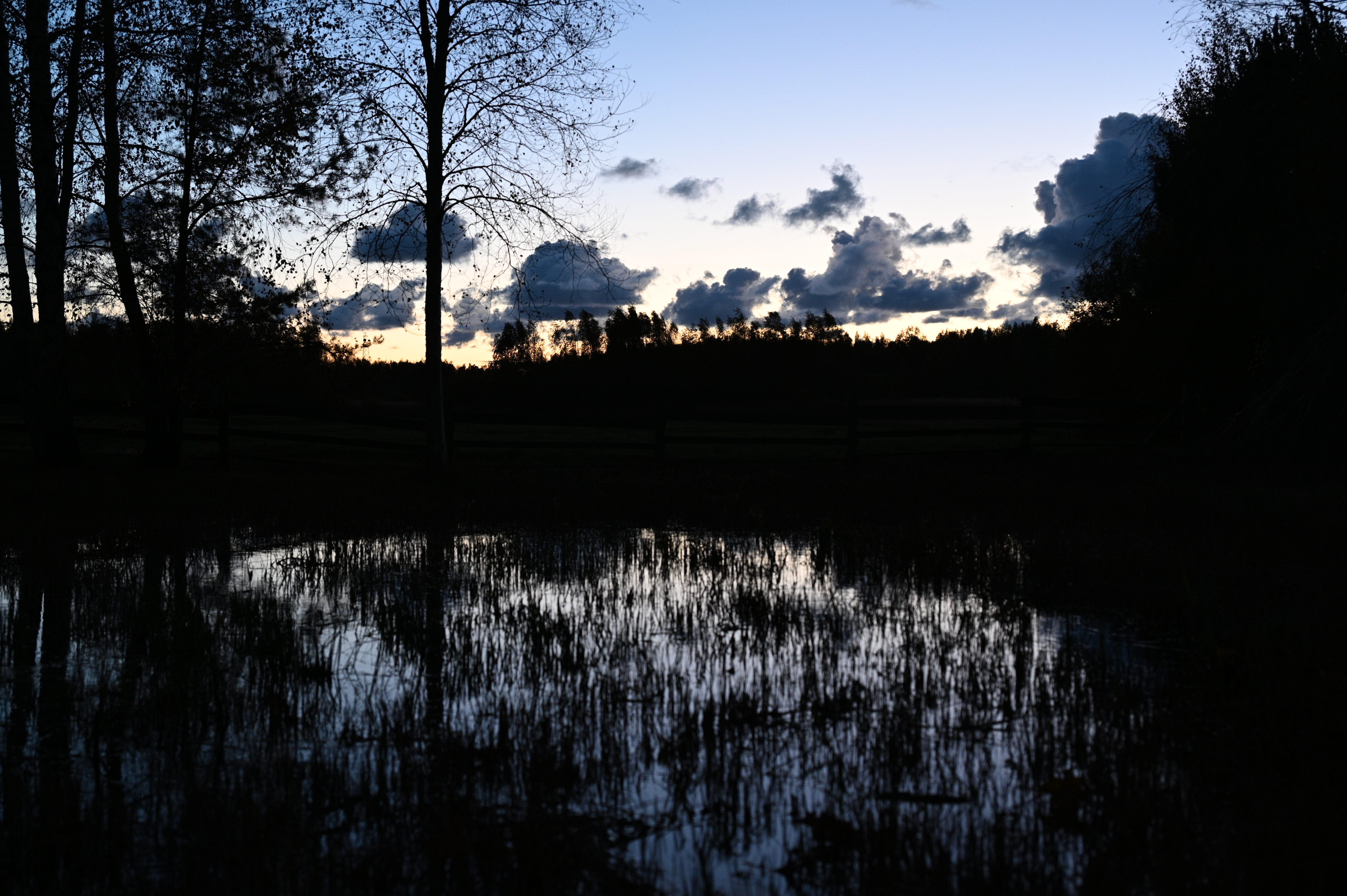 2025/10/18 - walk/DSC_0655.JPG